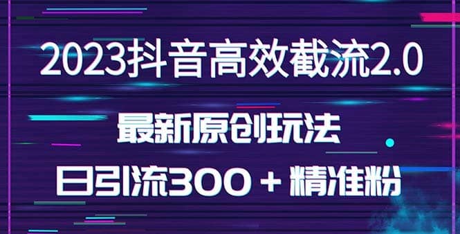 （5293期）日引300＋创业粉，独家抖音高效截流2.0玩法（价值1280）-佛系网创