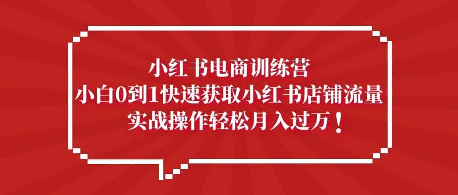 （5309期）小红书电商训练营，小白0到1快速获取小红书店铺流量，实战操作月入过万-佛系网创