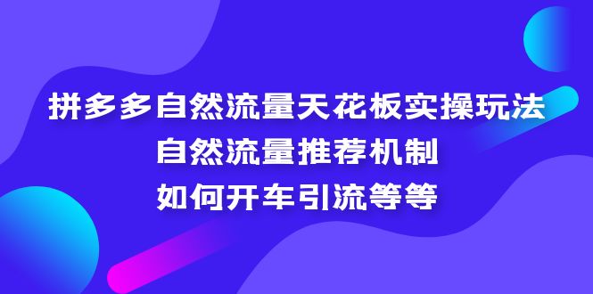（5327期）拼多多自然流量天花板实操玩法：自然流量推荐机制，如何开车引流等等-佛系网创