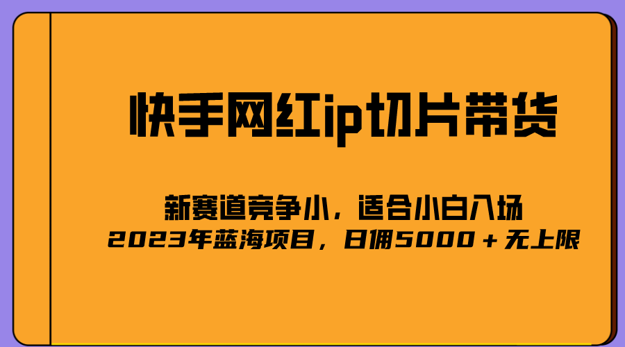 （5346期）2023爆火的快手网红IP切片，号称日佣5000＋的蓝海项目，二驴的独家授权-佛系网创