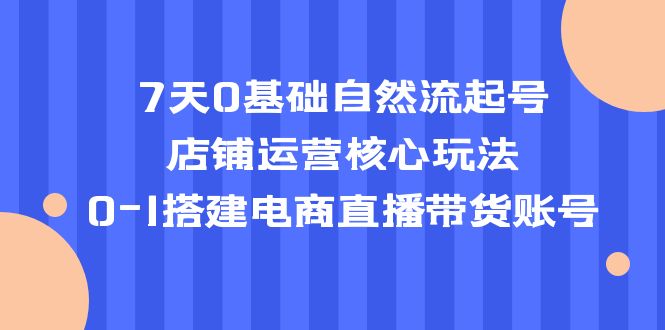 （5350期）7天0基础自然流起号，店铺运营核心玩法，0-1搭建电商直播带货账号-佛系网创