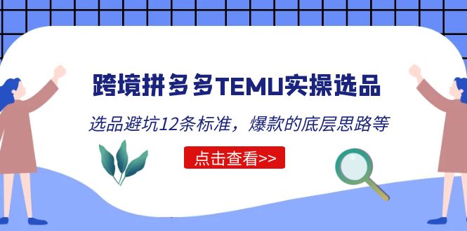 （5402期）跨境拼多多TEMU实操选品运营方法，选品避坑12条标准，爆款的底层思路等-佛系网创