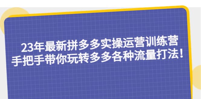 （5435期）23年最新拼多多实操运营训练营：手把手带你玩转多多各种流量打法！-佛系网创