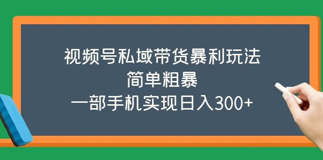 （5544期）视频号私域带货暴利玩法，简单粗暴，一部手机实现日入300+-佛系网创