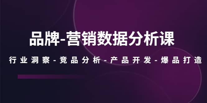 （5565期）品牌-营销数据分析课，行业洞察-竞品分析-产品开发-爆品打造-佛系网创