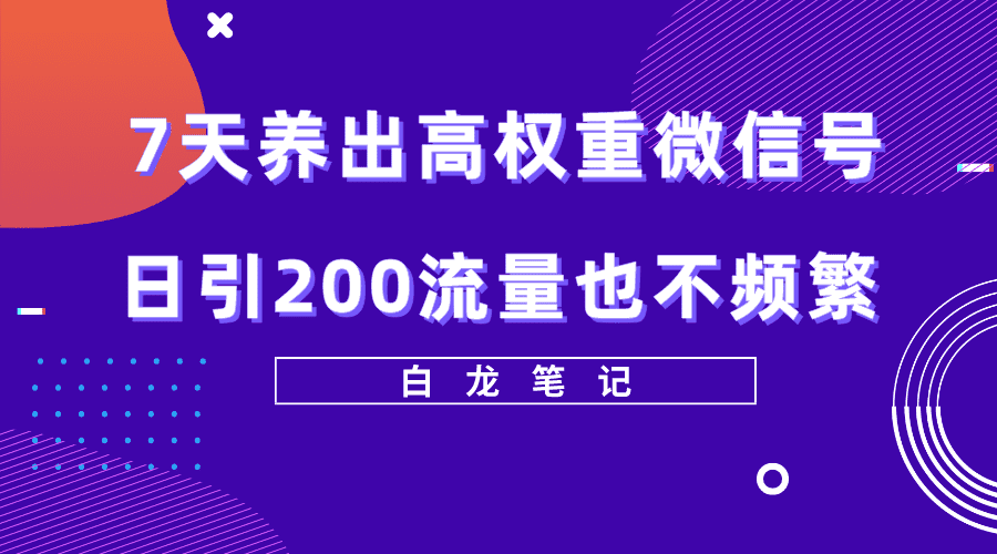（5630期）7天养出高权重微信号，日引200流量也不频繁，方法价值3680元-佛系网创