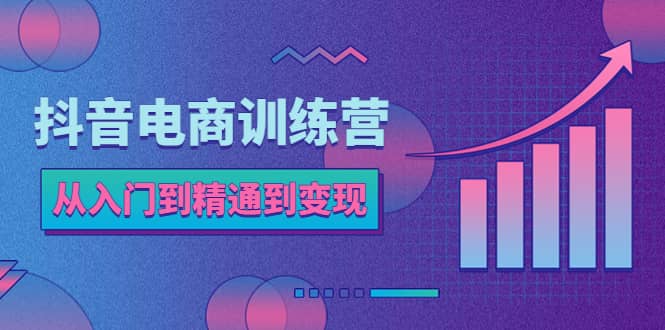（5648期）抖音电商训练营：从入门到精通，从账号定位到流量变现，抖店运营实操-佛系网创