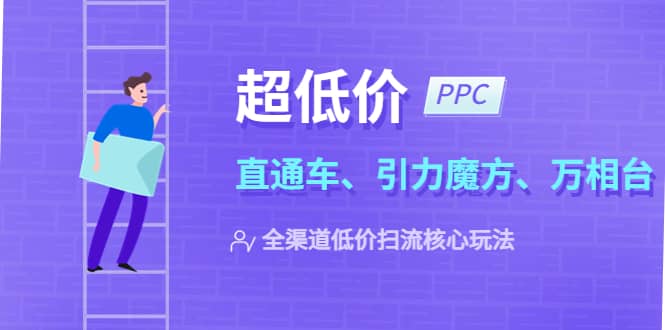 （5659期）2023超低价·ppc—“直通车、引力魔方、万相台”全渠道·低价扫流核心玩法-佛系网创