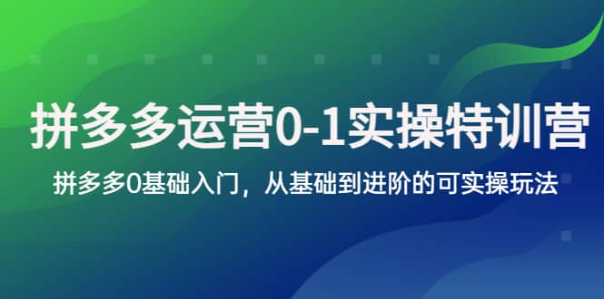 （5747期）拼多多-运营0-1实操训练营，拼多多0基础入门，从基础到进阶的可实操玩法-佛系网创