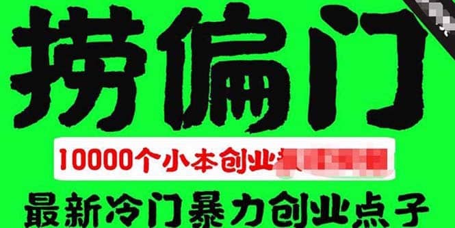 （5750期）千款捞偏门小本创业小项目，总有一款适合你【无水印】-佛系网创