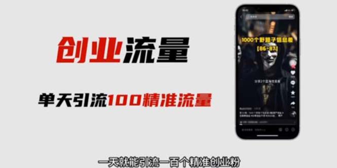 （5866期）自媒体音频加图文制作视频 一天引流一百个精准创业粉【音频软件+图片素材】-佛系网创