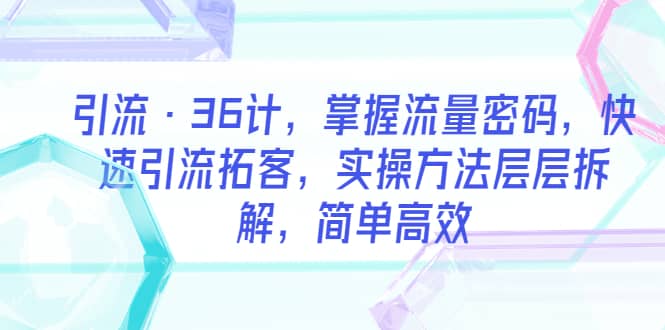 （5899期）引流·36计，掌握流量密码，快速引流拓客，实操方法层层拆解，简单高效-佛系网创