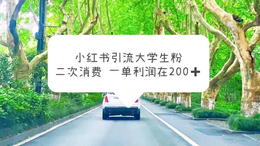 （5914期）小红书引流大学生粉，变现项目，一单利润在200+（教程+资源）-佛系网创
