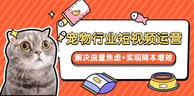 （5925期）宠物/行业短视频运营  流量增长的一层窗户纸  解决流量焦虑+实现降本增效-佛系网创