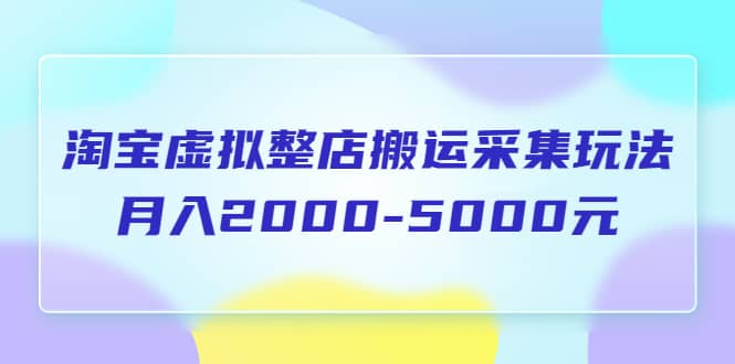 （5931期）淘宝虚拟整店搬运采集玩法分享课：月入2000-5000元（5节课）-佛系网创