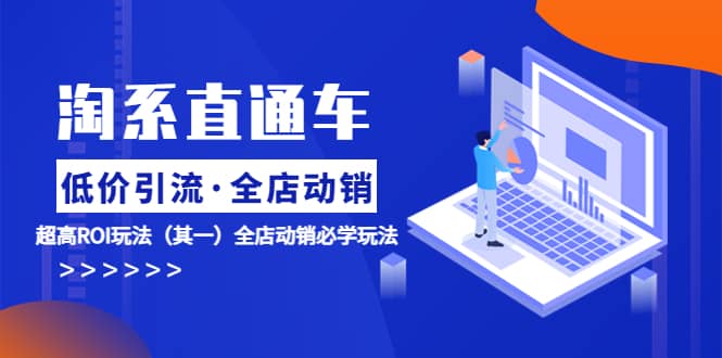 （5954期）淘系直通车《低价·引流 全店·动销》超高ROI玩法（其一）全店动销必学玩法-佛系网创