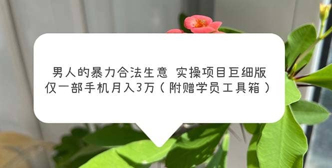 （5962期）男人的暴力合法生意实操项目巨细版：仅一部手机月入3w（附赠学员工具箱）-佛系网创