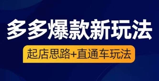 （6028期）2023拼多多爆款·新玩法：起店思路+直通车玩法（3节精华课）-佛系网创