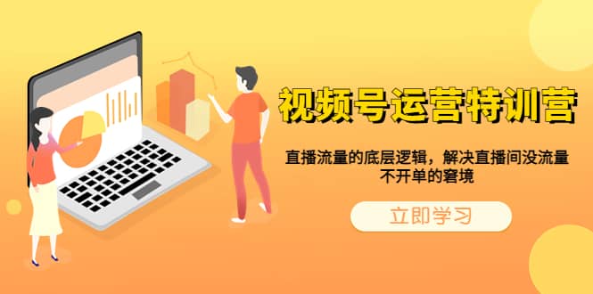 （6229期）视频号运营特训营，直播流量的底层逻辑，解决直播间没流量，不开单的窘境-佛系网创