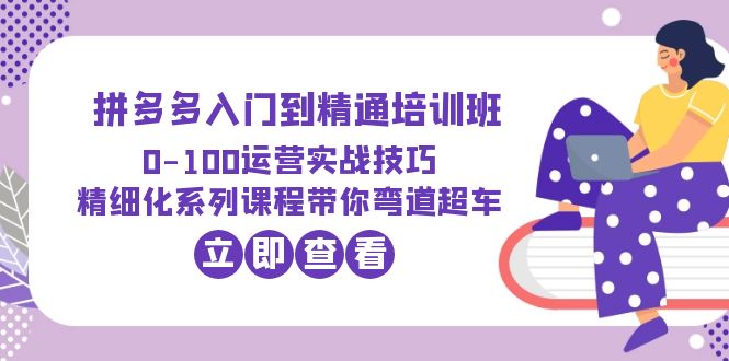 （6243期）2023拼多多入门到精通培训班：0-100运营实战技巧 精细化系列课带你弯道超车-佛系网创