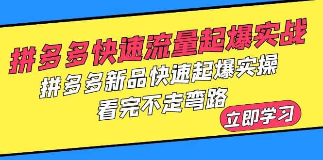 （6253期）拼多多-快速流量起爆实战，拼多多新品快速起爆实操，看完不走弯路-佛系网创