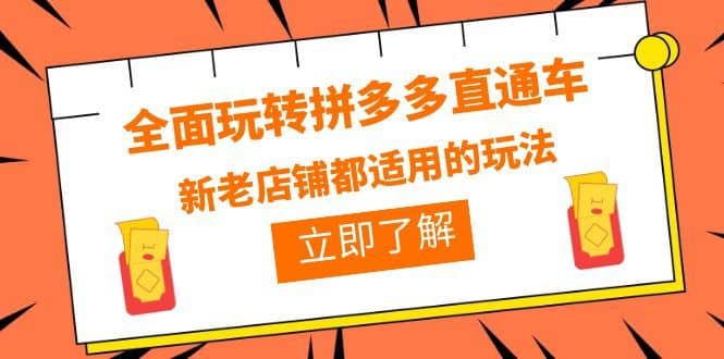 （6294期）全面玩转拼多多直通车，新老店铺都适用的玩法（12节精华课）-佛系网创