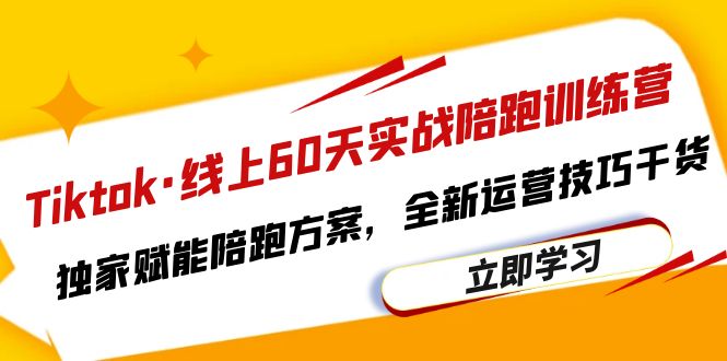 （6333期）Tiktok·线上60天实战陪跑训练营，独家赋能陪跑方案，全新运营技巧干货-佛系网创