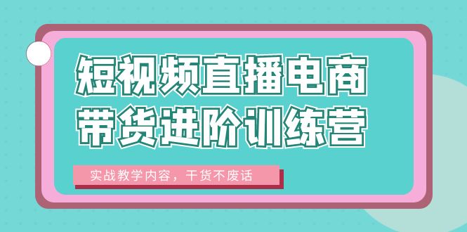 （6401期）短视频直播电商带货进阶训练营：实战教学内容，干货不废话！-佛系网创