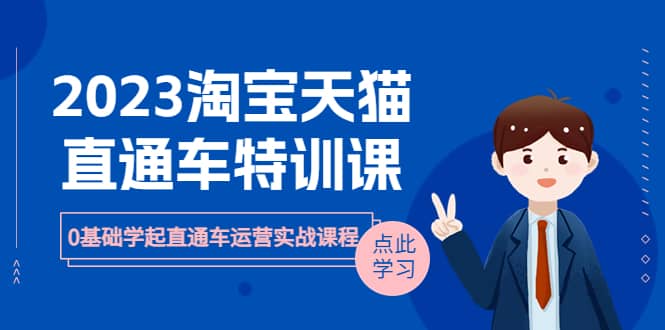 （6405期）2023淘宝·天猫直通车评特训课，0基础学起直通车运营实战课程（8节课时）-佛系网创