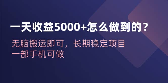 （6435期）一天收益5000+怎么做到的？无脑搬运即可，长期稳定项目，一部手机可做-佛系网创