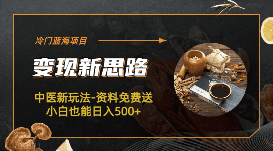 （6452期）冷门蓝海项目-中医新玩法-资料免费送小白也能日入500+-佛系网创
