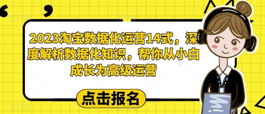 （6475期）2023淘宝数据化-运营 14式，深度解析数据化知识，帮你从小白成长为高级运营-佛系网创