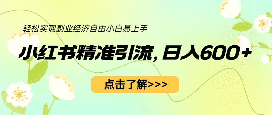 （6515期）小红书精准引流，小白日入600+，轻松实现副业经济自由（教程+1153G资源）-佛系网创
