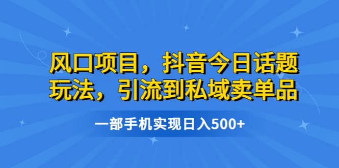 （6588期）风口项目，抖音今日话题玩法，引流到私域卖单品，一部手机实现日入500+-佛系网创