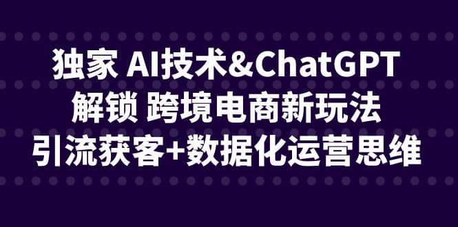 （6599期）独家 AI技术&ChatGPT解锁 跨境电商新玩法，引流获客+数据化运营思维-佛系网创