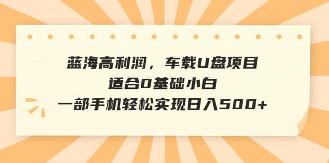 （6600期）蓝海高利润，车载U盘项目，适合0基础小白，一部手机轻松实现日入500+-佛系网创
