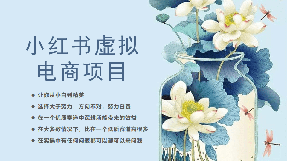 （6607期）小红书虚拟电商从0到1，让你从小白到精英（20节实操课程）-佛系网创
