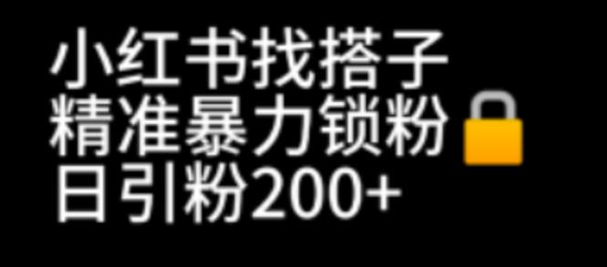 （6807期）小红书找搭子暴力精准锁粉+引流日引200+精准粉-佛系网创
