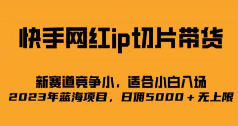 （6832期）快手网红ip切片新赛道，竞争小事，适合小白  2023蓝海项目-佛系网创