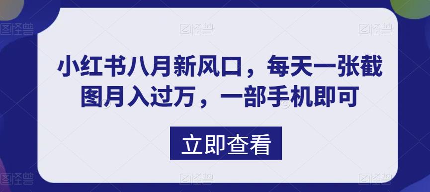 （6851期）八月新风口，小红书虚拟项目一天收入1000+，实战揭秘-佛系网创