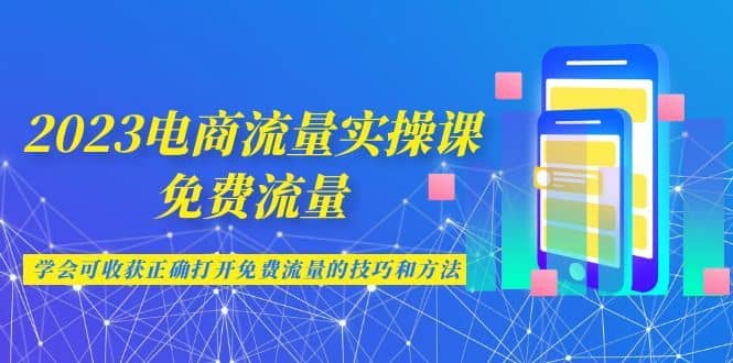 （6880期）2023电商流量实操课-免费流量，学会可收获正确打开免费流量的技巧和方法-佛系网创