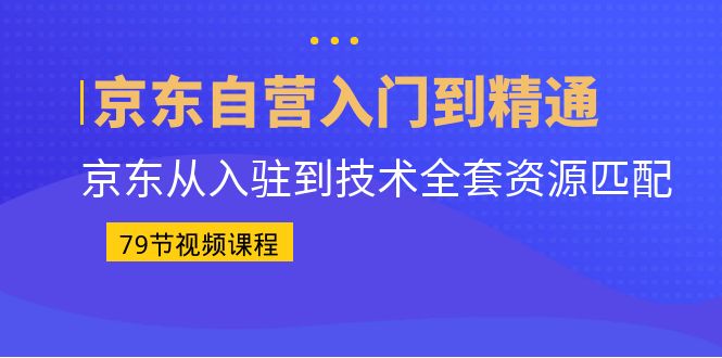 （6901期）京东自营入门到精通：京东从入驻到技术全套资源匹配（79节课）-佛系网创