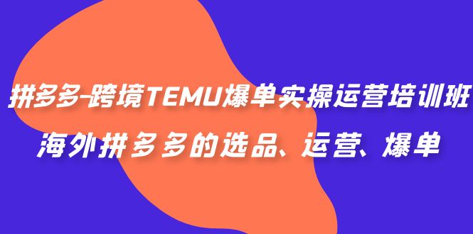 （6934期）拼多多-跨境TEMU爆单实操运营培训班，海外拼多多的选品、运营、爆单-佛系网创
