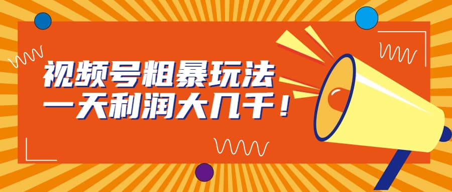 （6941期）视频号粗暴玩法，一天利润大几千！-佛系网创