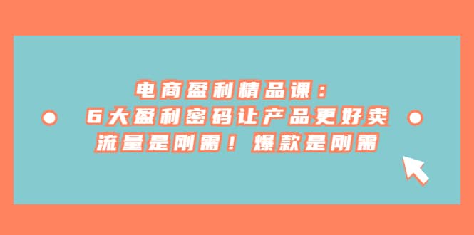 （6954期）电商 盈利精品课：6大盈利 密码让产品更好卖，流量是刚需！爆款是刚需-佛系网创