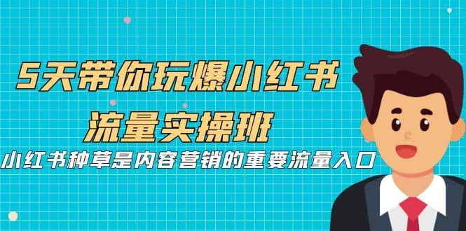 （7041期）5天带你玩爆小红书流量实操班，小红书种草是内容营销的重要流量入口-佛系网创
