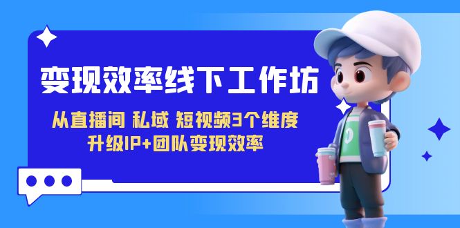 （7095期）变现-效率线下工作坊，从直播间、私域、短视频3个维度 升级IP+团队变现效率-佛系网创