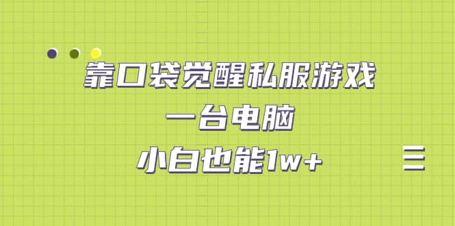（7113期）靠口袋觉醒私服游戏，一台电脑，小白也能1w+（教程+工具+资料）-佛系网创