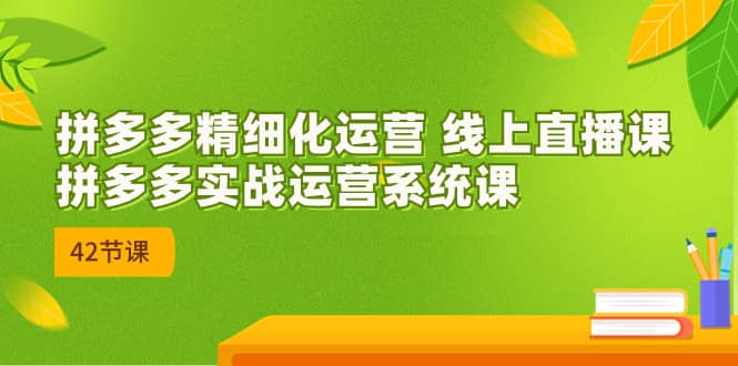 （7151期）2023年8月新课-拼多多精细化运营 线上直播课：拼多多实战运营系统课-42节-佛系网创