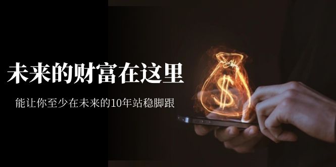 （7164期）某收费文章《未来的财富在这里》能让你至少在未来的10年站稳脚跟-佛系网创